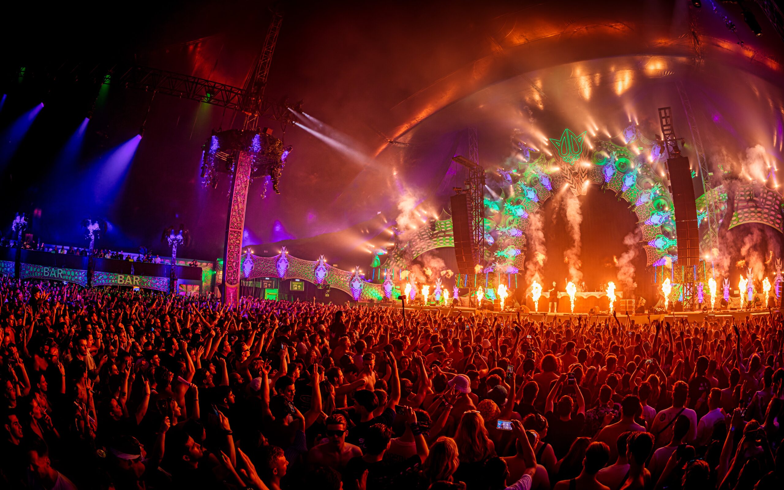 Afbeelding van Rebirth Festival