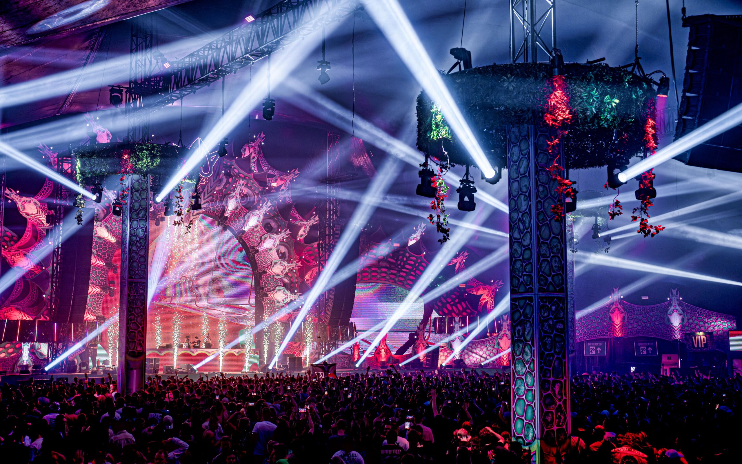 Afbeelding van Rebirth Festival